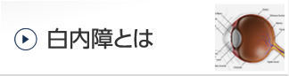 白内障とは？